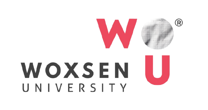 Woxsen University Logo